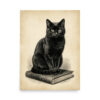 Black Cat on Books Poster, Vintage Gothic Illustration, Halloween Wall Art, Witchy Decor Gift