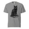 unisex-garment-dyed-heavyweight-t-shirt-grey-front-6a9c331e0e7e5.jpg Black Cat on a Book Victorian Engraving T-Shirt — Comfort Colors 1717 Cat Lover Tee