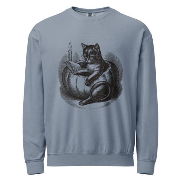 unisex-garment-dyed-lightweight-fleece-crewneck-sweatshirt-i-comfort-colors-1466-blue-jean-front-6aa4039950200.jpg Black Cat Reading in Pumpkin Sweatshirt, Comfort Colors 1466 Unisex Crewneck, Spooky Season Reading, Halloween Cat Lover Gift