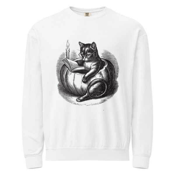 unisex-garment-dyed-lightweight-fleece-crewneck-sweatshirt-i-comfort-colors-1466-white-front-6aa403995143b.jpg Black Cat Reading in Pumpkin Sweatshirt, Comfort Colors 1466 Unisex Crewneck, Spooky Season Reading, Halloween Cat Lover Gift