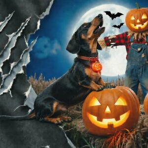 il_1140xN.8565020643_irud.jpg Howling Dachshund Halloween T-Shirt